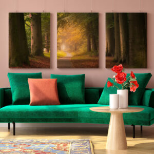 Carton Pluma Foam 10MM