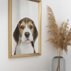 Papel Photo Personalizado 225gr