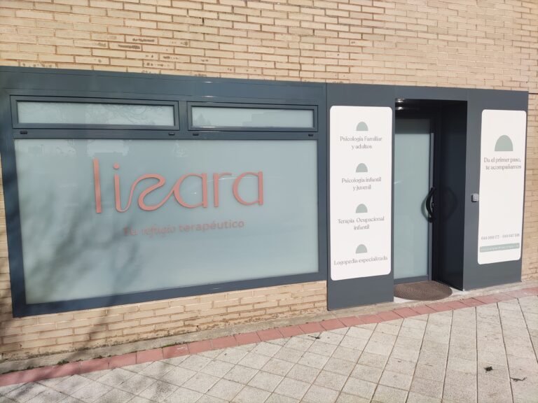 Vinilo al ácido en el escaparate del centro Lizara